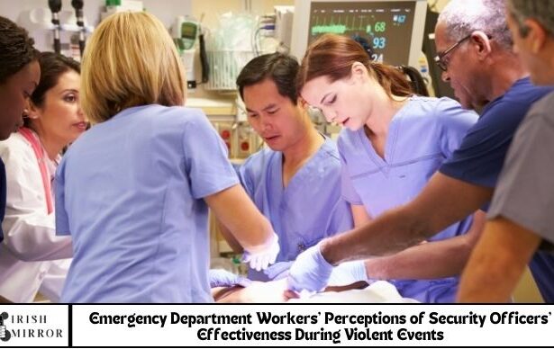 Emergency Department Workers’ Perceptions of Security Officers’ Effectiveness During Violent Events