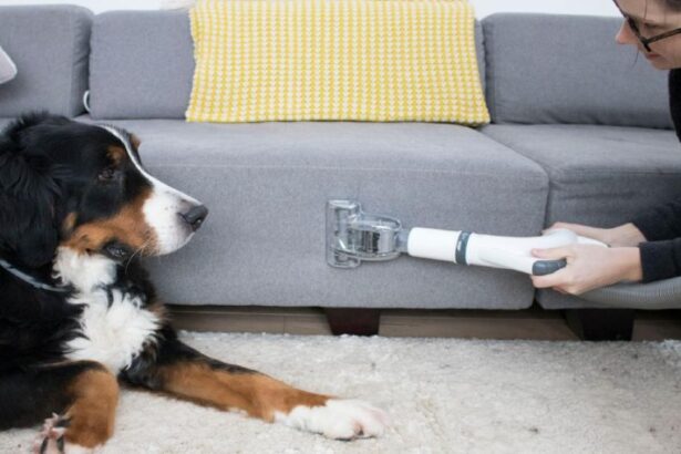 Pets To Parties: When You Really Need Carpet Cleaners In Canberra?