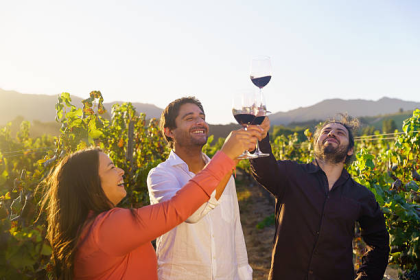 Private Wine Tour in Sonoma